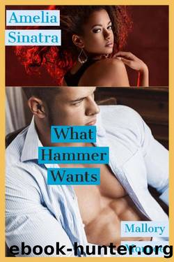 Amelia Sinatra: What Hammer Wants by Mallory Monroe