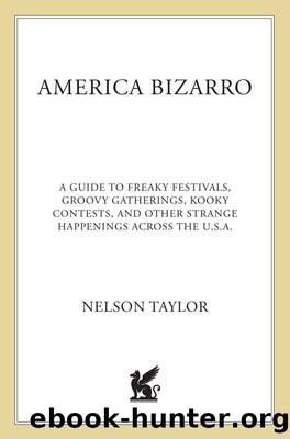 America Bizarro by Nelson Taylor