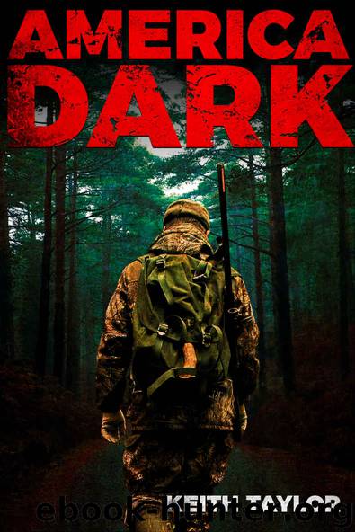 America Dark: A Post-Apocalyptic EMP Survival Thriller (Willow Falls Book 1) by Keith Taylor