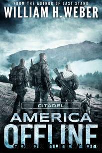 America Offline | Book 3 | Citadel by Weber William H