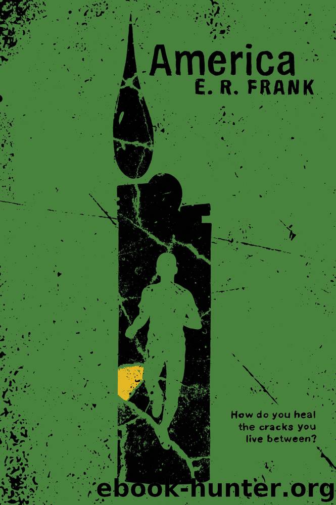 America by E R Frank