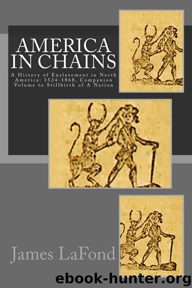 America in Chains by James LaFond