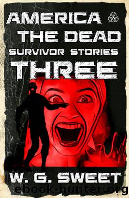 America the Dead Survivor Stories Three by W. G. Sweet
