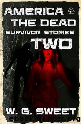 America the Dead Survivor Stories Two by W. G. Sweet