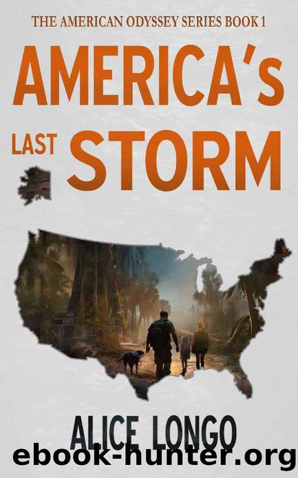America's Last Storm: A Post Apocalyptic Survival Novel by Alice Longo
