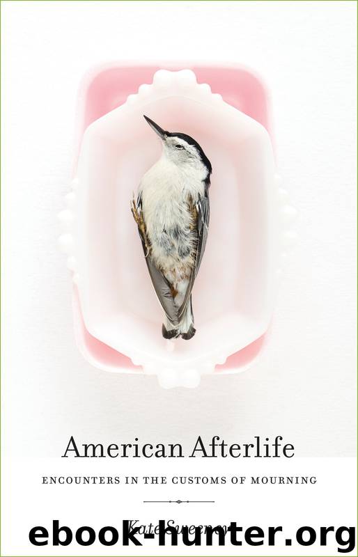 American Afterlife by Sweeney Kate
