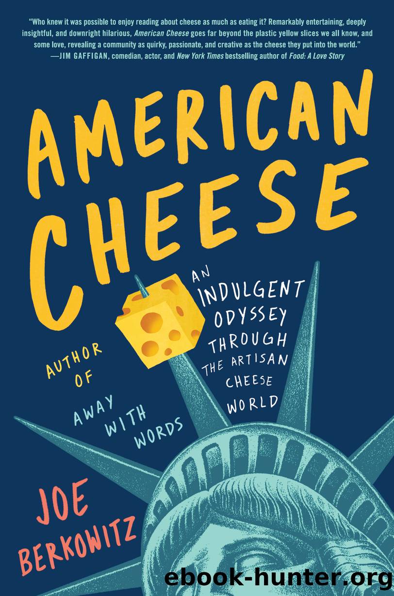 American Cheese by Joe Berkowitz