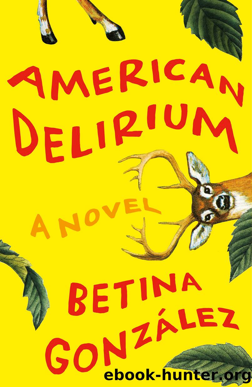 American Delirium by Betina González