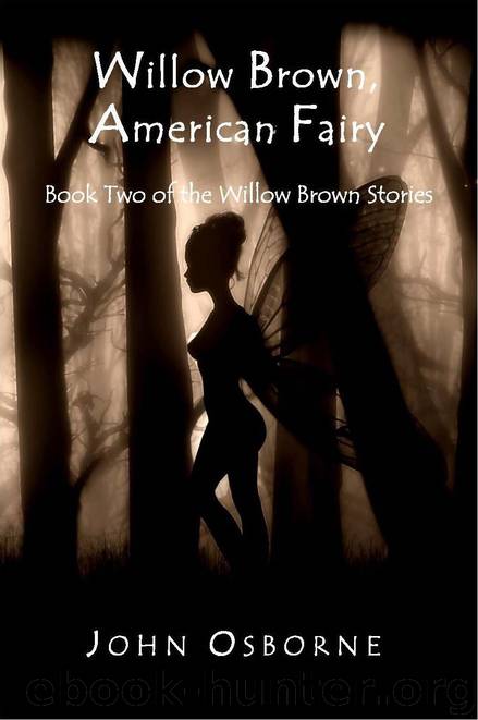 American Fairy by John Osborne