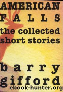 American Falls: The Collected Short Stories by Barry Gifford