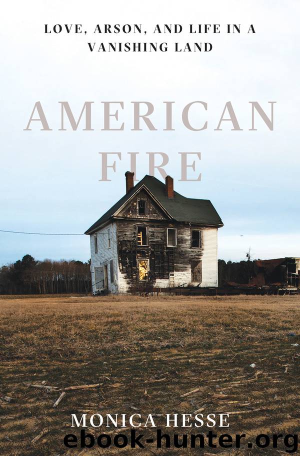 American Fire by Monica Hesse