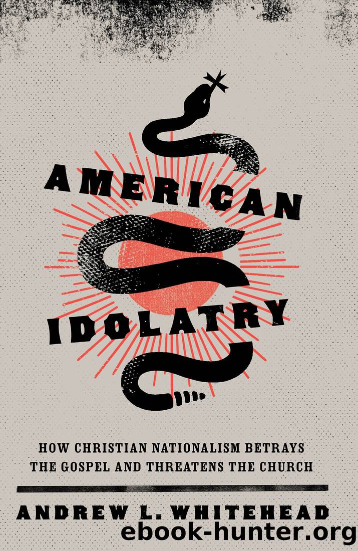 American Idolatry by Whitehead Andrew L.;