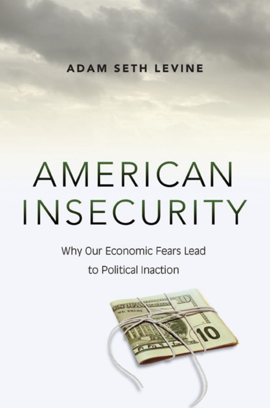 American Insecurity by Levine Adam Seth;