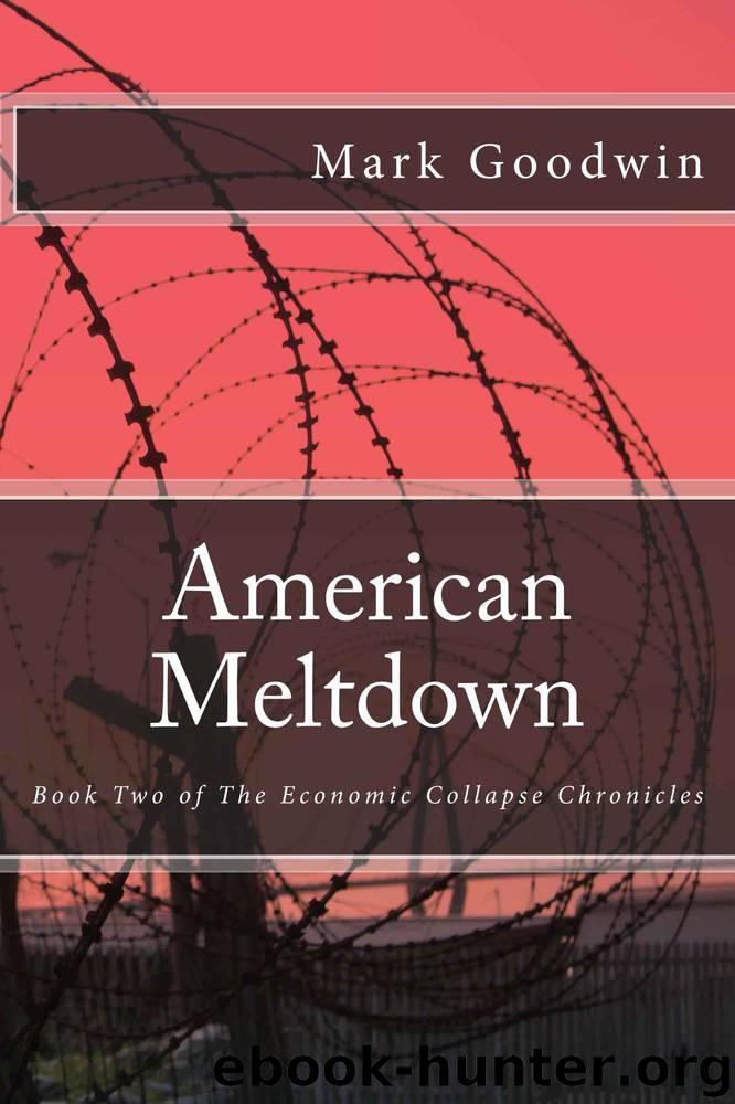 American Meltdown: Book Two of The Economic Collapse Chronicles by Goodwin Mark