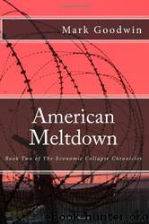 American Meltdown: Book Two of the Economic Collapse Chronicles (Volume 2) by Mark Goodwin