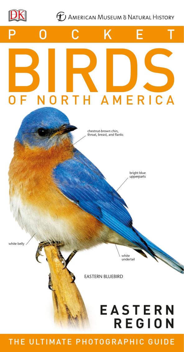 American Museum of Natural History: Pocket Birds of North America, Eastern Region by Unknow