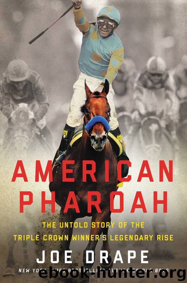 American Pharaoh by Joe Drape