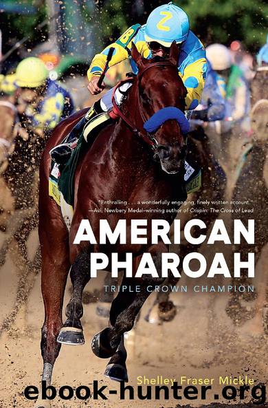 American Pharoah by Shelley Fraser Mickle