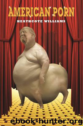 American Porn by Heathcote Williams by Heathcote Williams