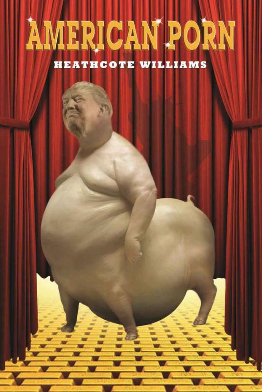 American Porn by Heathcote Williams