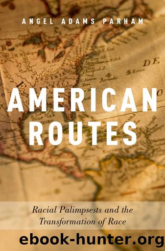 American Routes by Angel Adams Parham