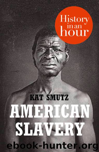 American Slavery in an Hour by Kat Smutz