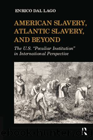American Slavery, Atlantic Slavery, and Beyond: The U.S. Peculiar Institution in International Perspective by Enrico Dal Lago