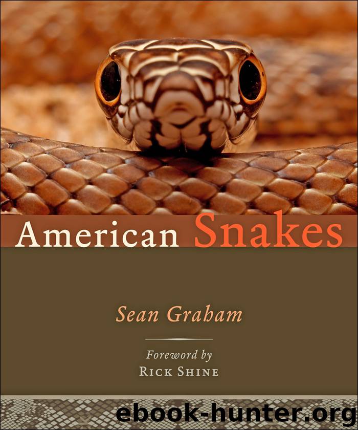 American Snakes by Sean P. Graham