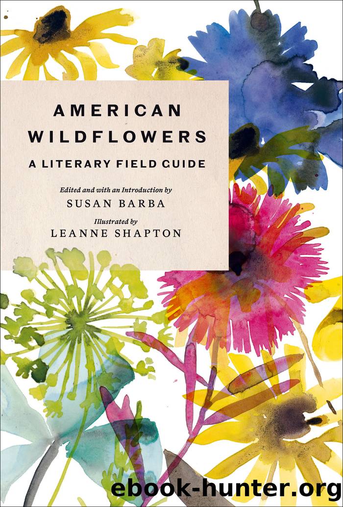 American Wildflowers by Susan Barba