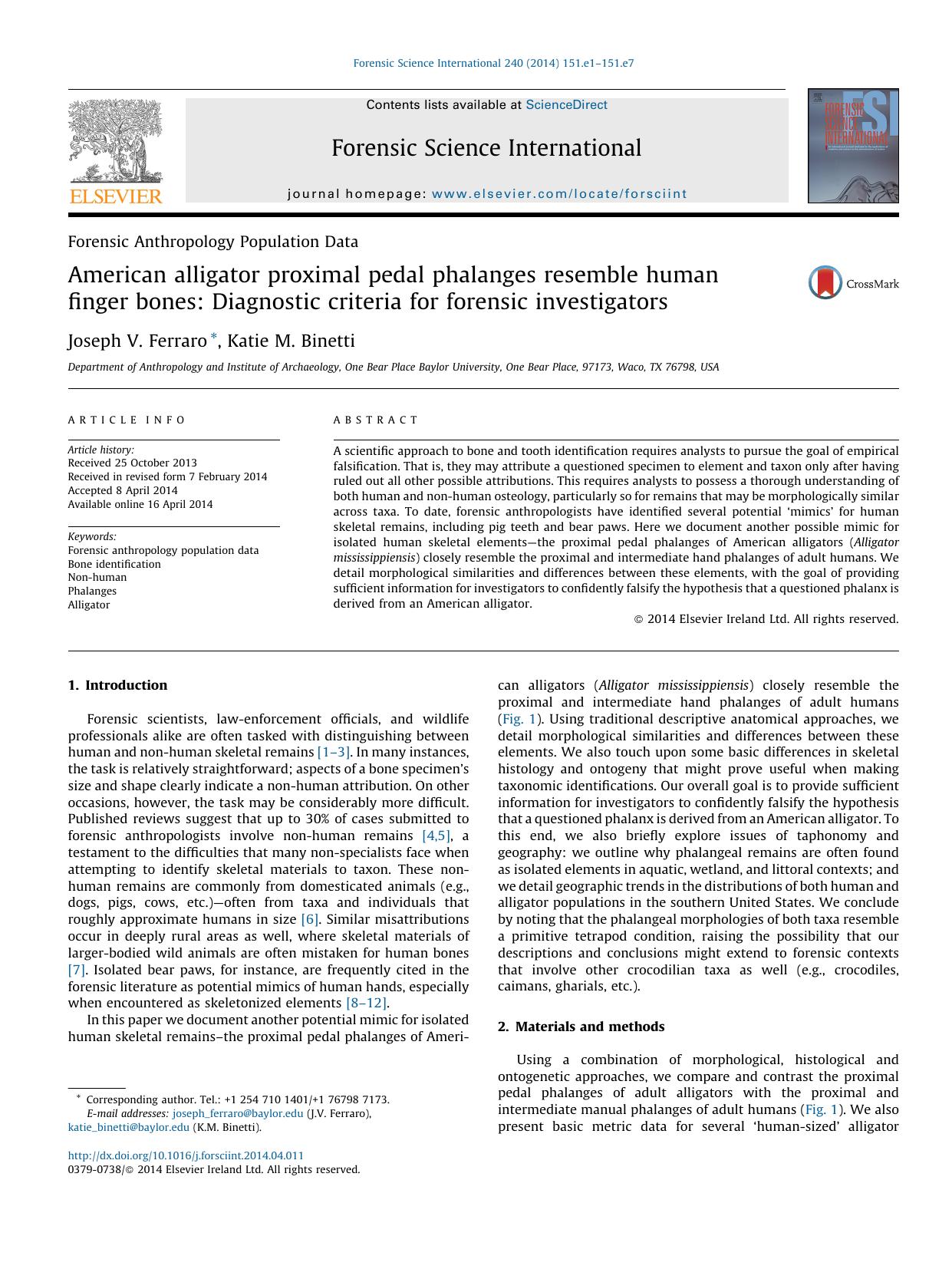 American alligator proximal pedal phalanges resemble human finger bones: Diagnostic criteria for forensic investigators by Joseph V. Ferraro & Katie M. Binetti