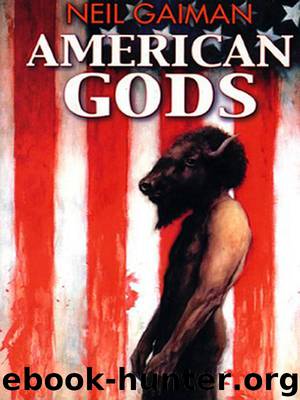 American gods(v.1) by Neil Gaiman
