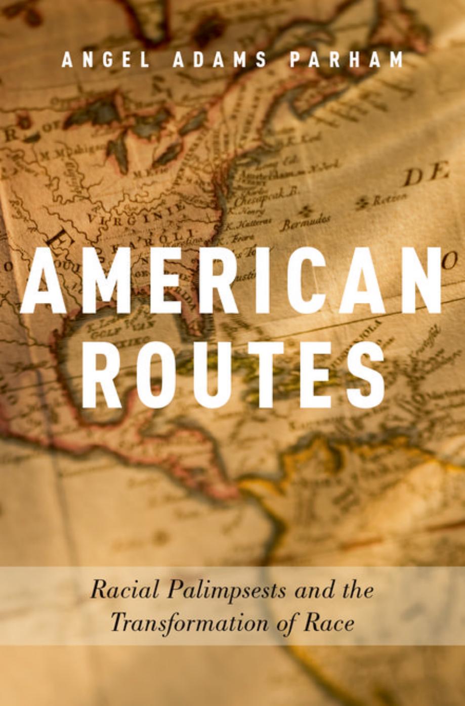 American routes. Racial palimpsests and the transformation of race by Adams Parham Angel