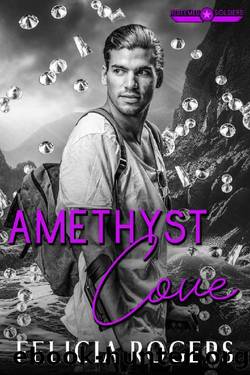Amethyst Cove by Felicia Rogers
