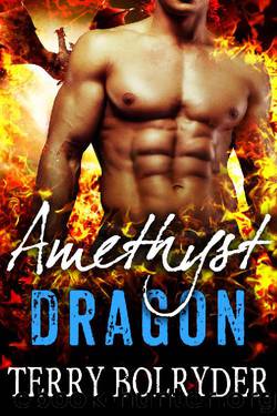 Amethyst Dragon (Awakened Dragons Book 5) by Terry Bolryder