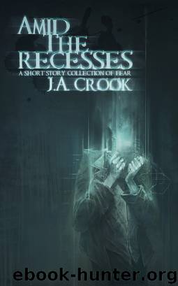 Amid the Recesses: A Short Story Collection of Fear by J. A. Crook