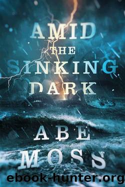 Amid the Sinking Dark (The Dread Void Book 2) by Abe Moss