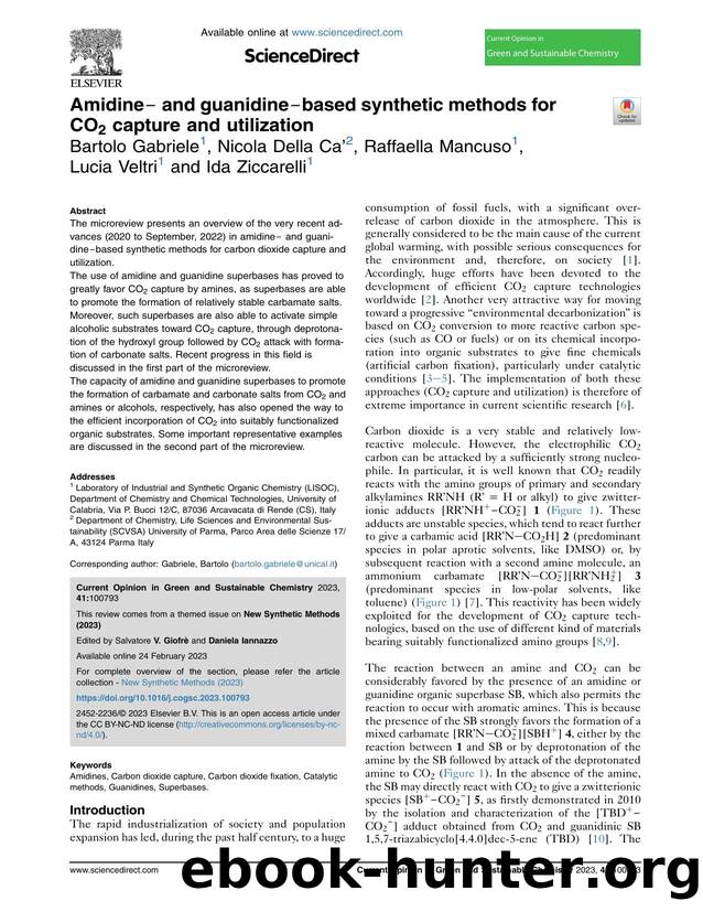 Amidine‒ and guanidine‒based synthetic methods for CO2 capture and utilization by Bartolo Gabriele