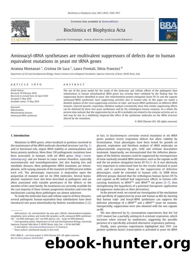 Aminoacyl-tRNA synthetases are multivalent suppressors of defects due to human equivalent mutations in yeast mt tRNA genes by Arianna Montanari & Cristina De Luca & Laura Frontali & Silvia Francisci