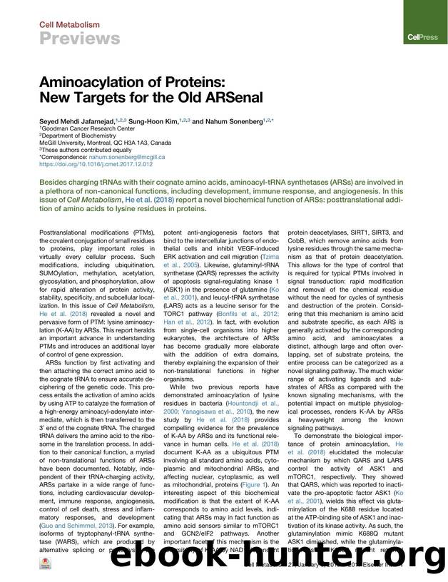 Aminoacylation of Proteins: New Targets for the Old ARSenal by Seyed Mehdi Jafarnejad & Sung-Hoon Kim & Nahum Sonenberg