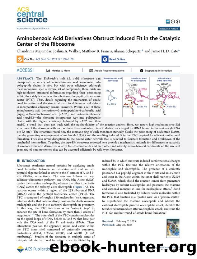 Aminobenzoic Acid Derivatives Obstruct Induced Fit in the Catalytic Center of the Ribosome by unknow