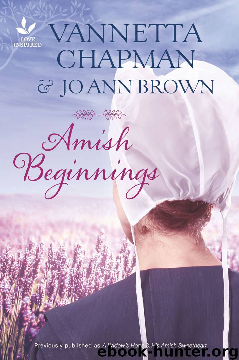 Amish Beginnings by Vannetta Chapman