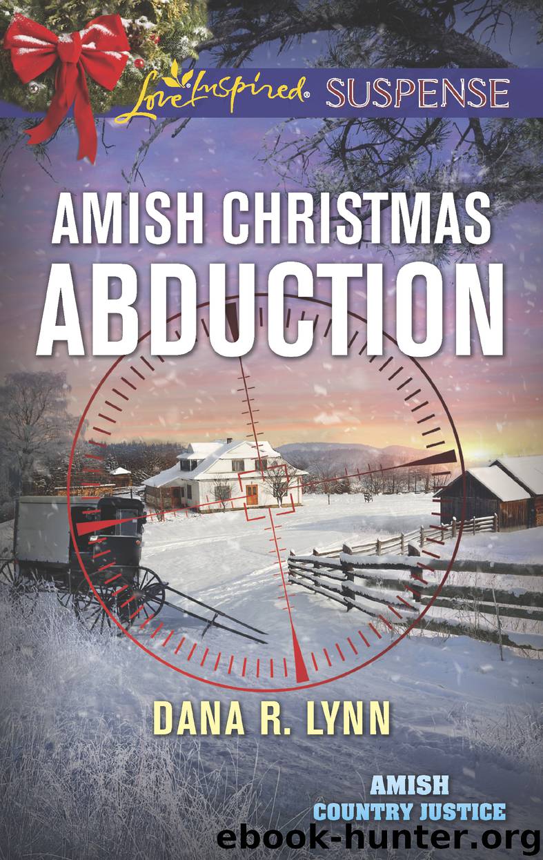 Amish Christmas Abduction by Dana R. Lynn
