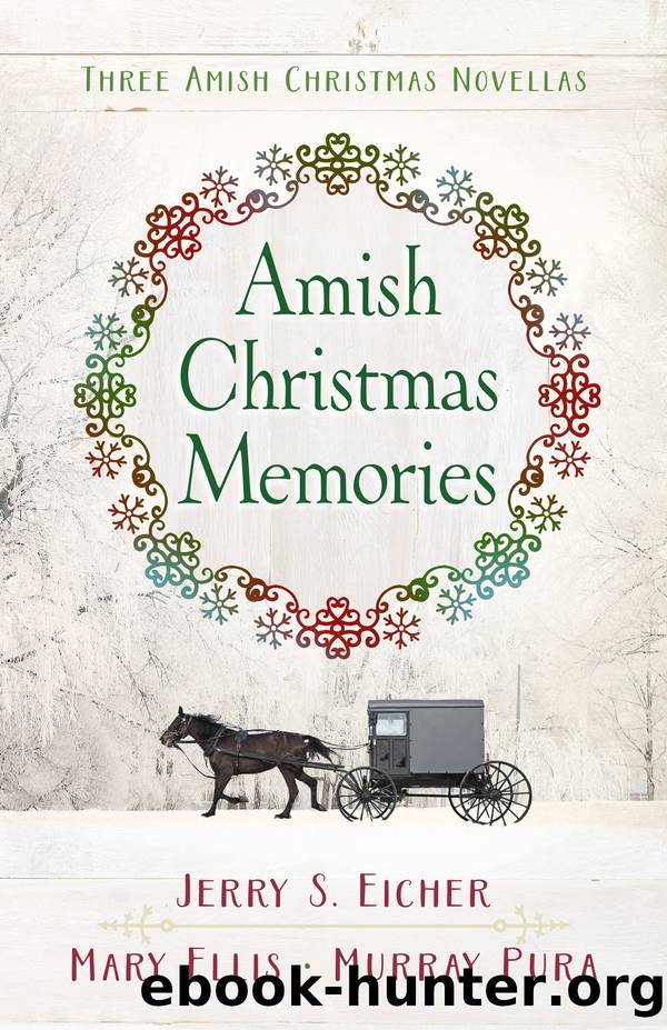 Amish Christmas Memories by Jerry S. Eicher