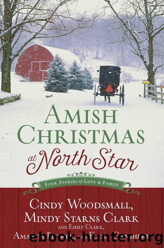 Amish Christmas at North Star by Cindy Woodsmall