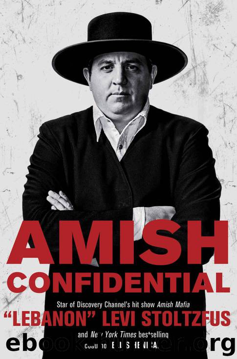 Amish Confidential by Stoltzfus "Lebanon" Levi & Henican Ellis