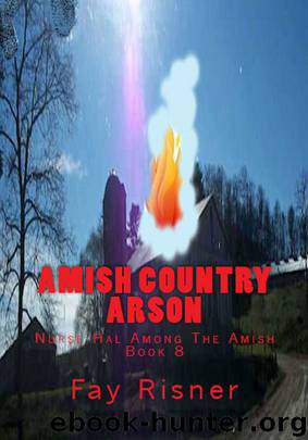 Amish Country Arson by Risner Fay