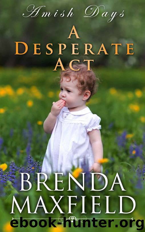 Amish Days: A Desperate Act: An Amish Romance Short Story (Hollybrook Amish Romance) by Brenda Maxfield