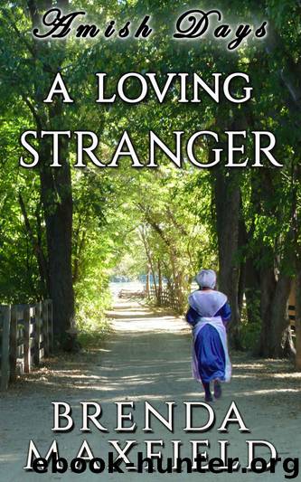 Amish Days: A Loving Stranger: An Amish Romance Short Story (Hollybrook Amish Romance) by Brenda Maxfield