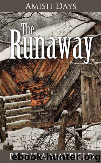 Amish Days: The Runaway: An Amish Romance Story (Hollybrook Amish Romance) by Brenda Maxfield