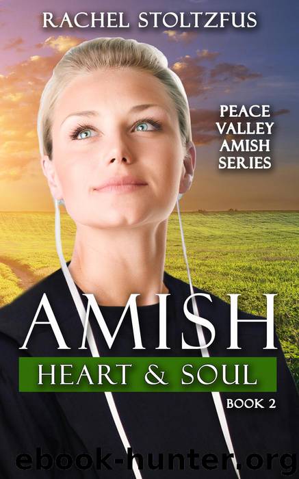 Amish Heart and Soul by Rachel Stoltzfus